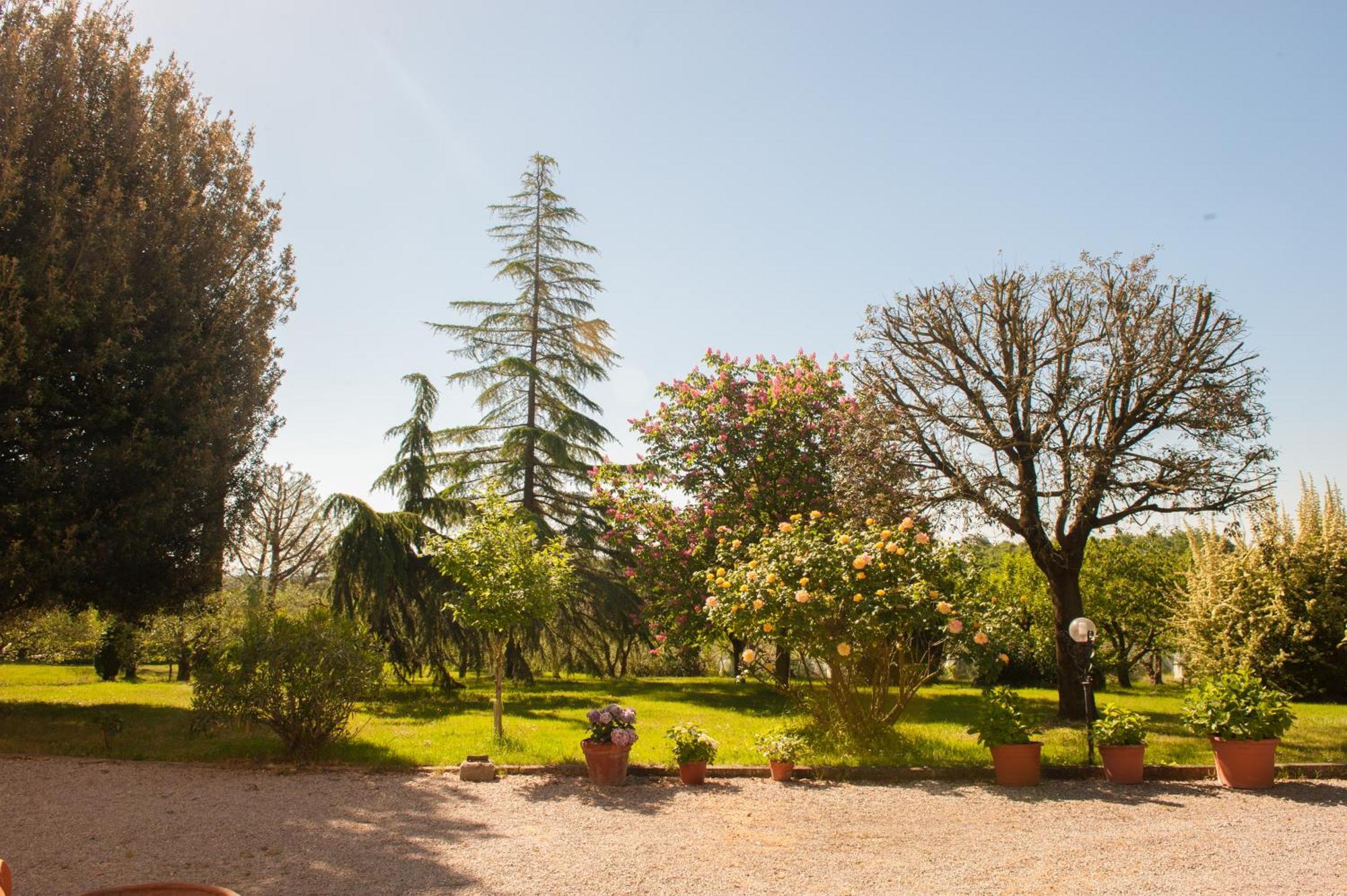 Agriturismo Villa La Morina Cortone Extérieur photo