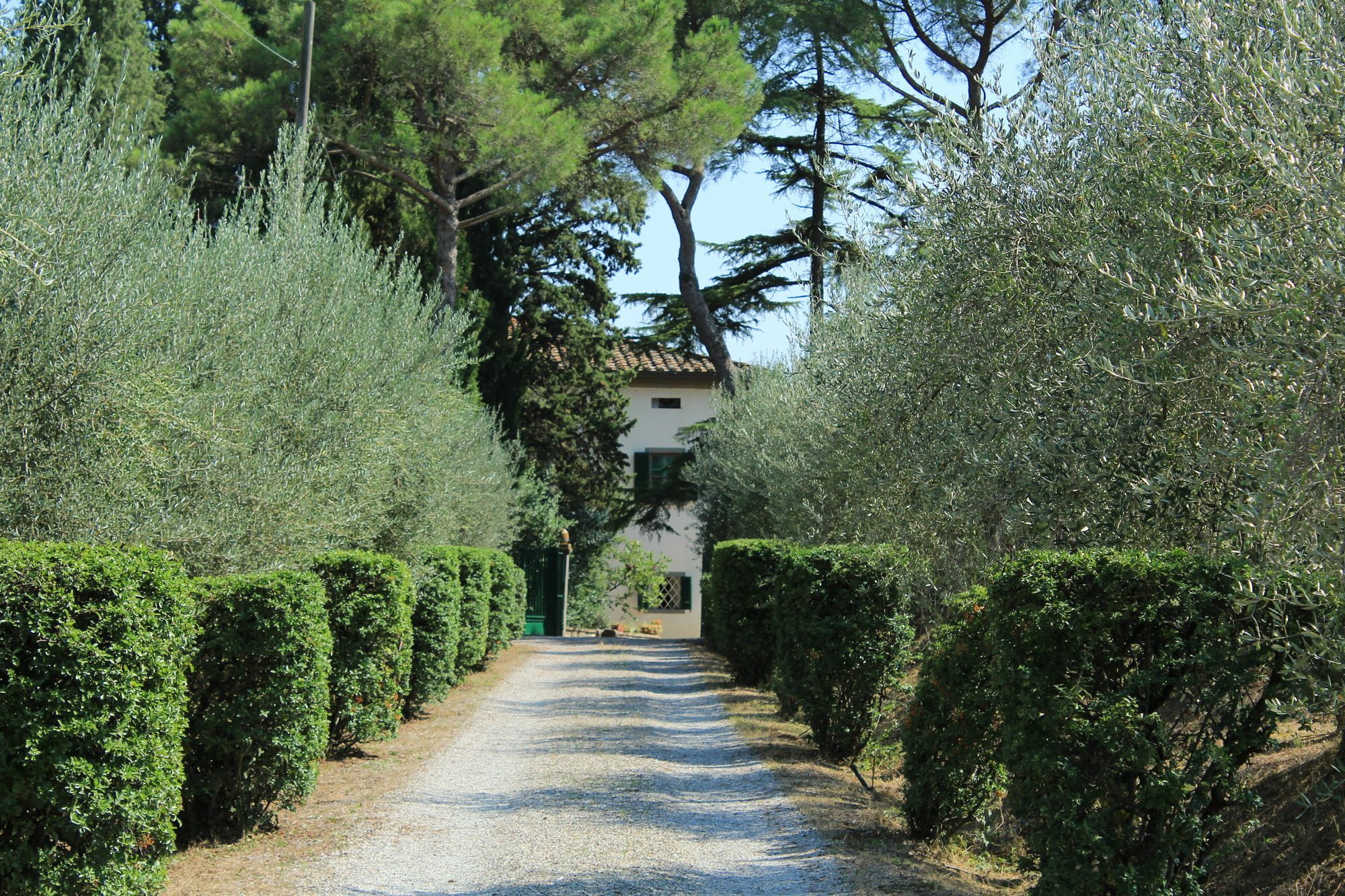 Agriturismo Villa La Morina Cortone Extérieur photo